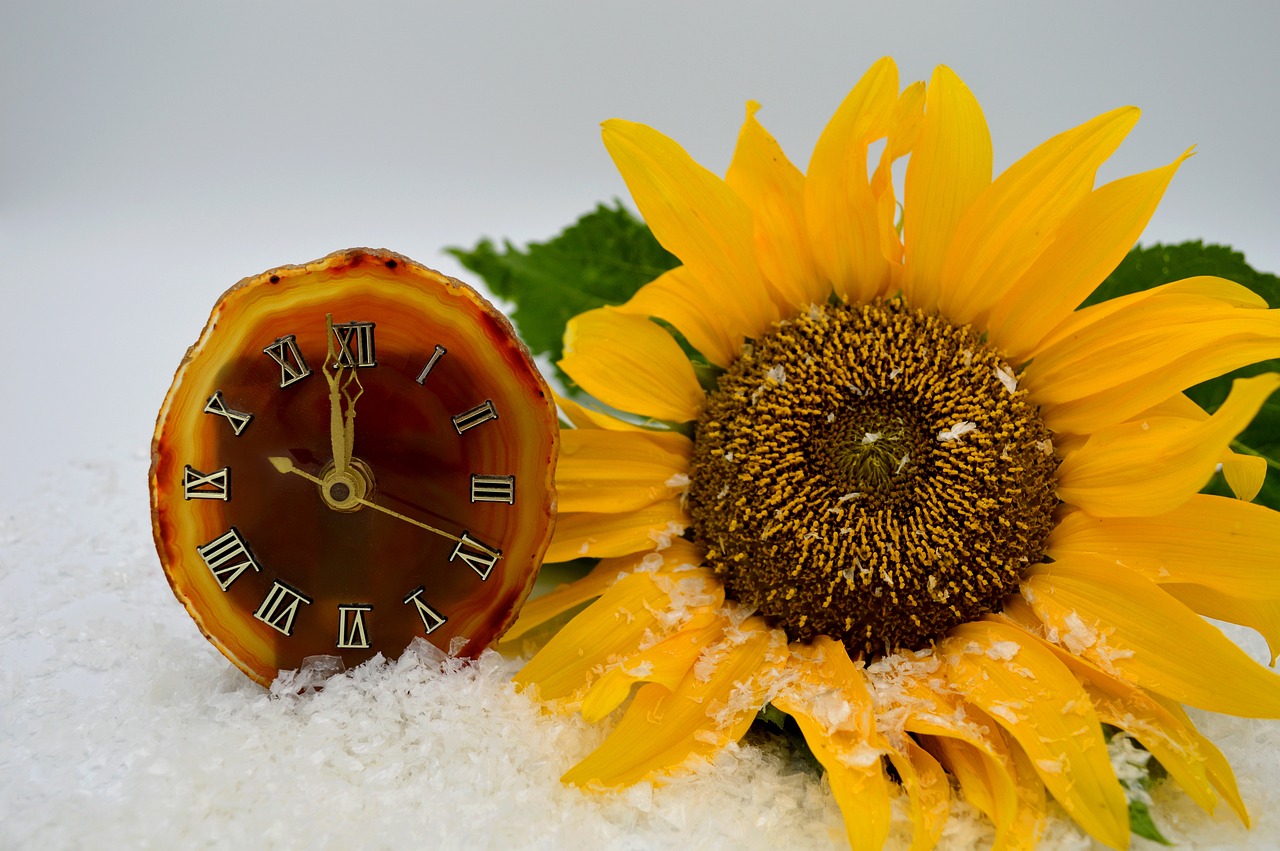 Top Productivity Apps for Enhancing Work Efficiency